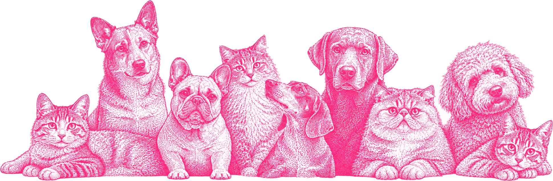 Ilustración de perros y gatos de distintas razas sentados en fila